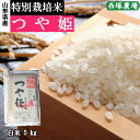 山形県産 特別栽培米 つや姫 令和5年産 白米 5kg