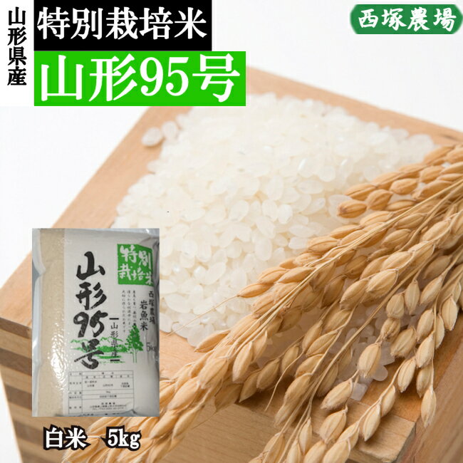 山形県産 特別栽培米 山形95号 令和4年産 白米 5kg 精米したてのサムネイル