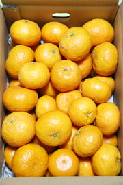 hako05