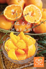 harumi035
