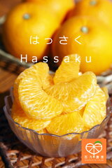 https://thumbnail.image.rakuten.co.jp/@0_mall/nishikatafarm/cabinet/syohin-photo01/hassaku.jpg