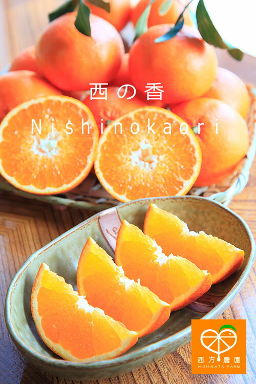 nishinokaori