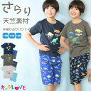\50%offクーポン対象/パジャマ キッズ 男の子 半袖 100 110 120 サイズ 夏 かぶり 総柄 恐竜 車 ハーフパンツ 男児 子供 保育園 幼稚園 小学生 ルームウェア キャラLOVE 79313 $$