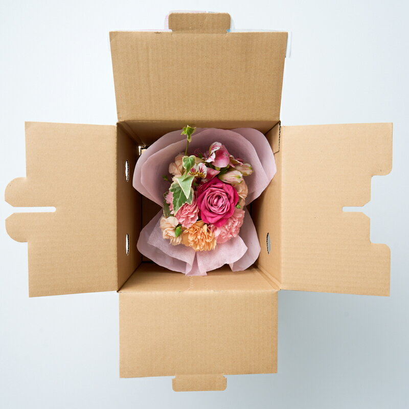 ��������Υץ쥼��ȡ����ե�2026������������Τޤ޾����Х�ȥ����͡������Υ֡�����[������������ա�����̵��]