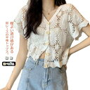 【送料無料】花柄レース刺繍カットソー サマーニット カーディガン レディース レースTシャツ ブラウス トップス 春夏 洗える レディースファッション トップス 羽織り カットソー レース レディース 半袖 トップス ブラウスシャツ