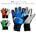フットサル ゴールキーパー ジュニア サッカー 手袋 6号 少年 練習用 キッズ 子供用 サッカーグローブ サッカー トレーニング 練習 試合用 こども用 ゴー...