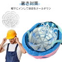 ヘッド クール ヘッドパッド クール 帽子 保冷剤 頭 冷却 アイス キャップ 熱中症対策 暑さ対策 ひんやりグッズ 冷却グッズ メンズ レディース
