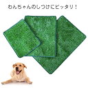 ペット用 人工芝 犬 ペットシート ペット用トイレ おしっこマット ペットトイレシート しつけ 子犬 洗える 室内