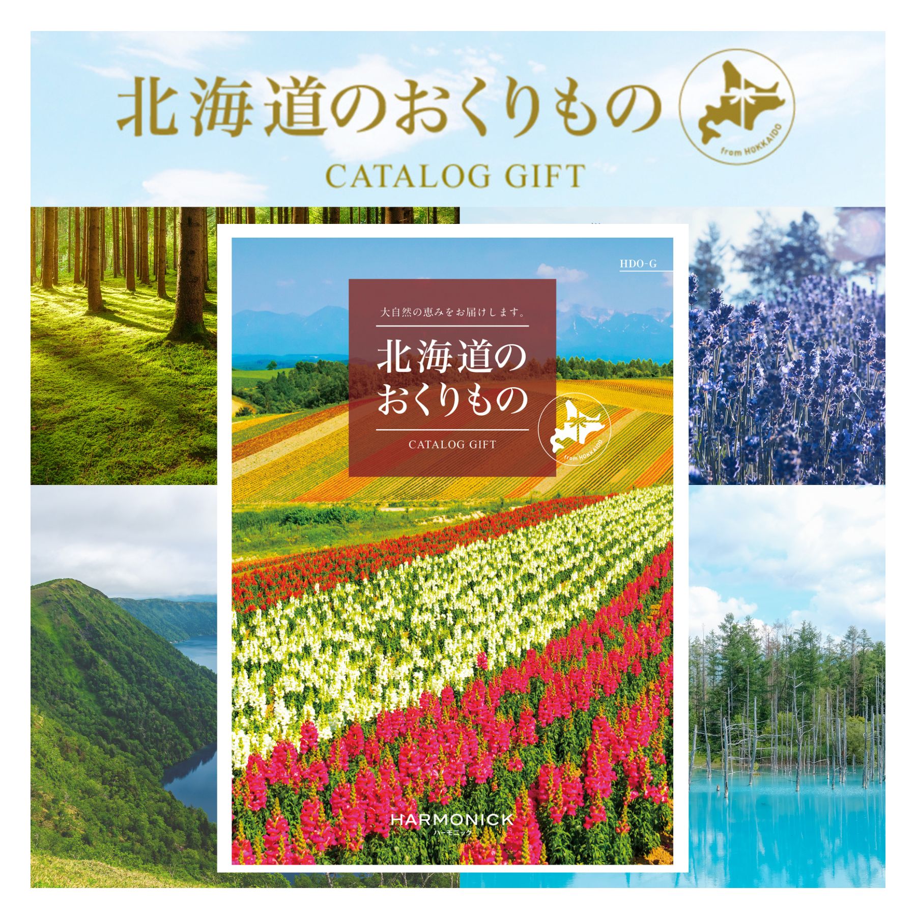 Rakuten - お返しギフト 送料無料 北海道 カタログギフト 4000円 ギフトカタログ 人気 ギフト 食品 品物 仏事 香典返し コース 結婚祝い 結婚内祝い 年配 贈答品 イベント 記念品 贈り物 敬老 入学祝いのお返し 進学祝いのお返し 選べるギフト