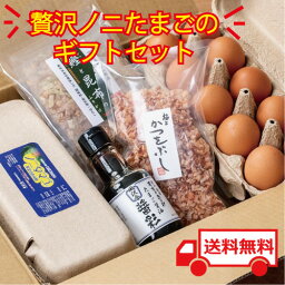 送料無料 たまご 10個入り 2パック 産みたて 新鮮 濃厚 たまごかけごはん 採れたて お試しセット 信州産 卵かけご飯 セット 醤油 かつおぶし 鰹と昆布のふりかけ プレゼント 産みたて 農場直送 帰省 手土産 生卵 玉子 遅れてごめんね