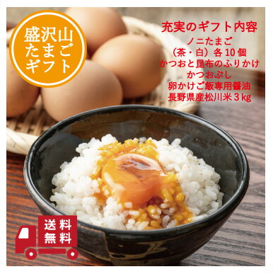 令和5年米 送料無料 たまご 10個入り 2パック 長野県産米 コシヒカリ 産みたて 新鮮 濃厚 たまごかけごはん 採れたて 盛りだくさん 卵..