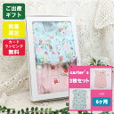 送料無料 女の子 プレゼント 2枚セット ロンパース カーターズ セット ベビー服 出産祝い 春 夏 秋 冬 おしゃれ 6ヶ月 6m ラッピング 無料 可愛い ギフト 60 70 シャツ 誕生日 お祝い 出産 半袖 限定 グッズ Carter's キッズ ブランド 赤ちゃん 嬉しい 格安 貰って嬉しい