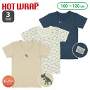 HOTWRAP）3枚組半袖シャツ肌着（帽子・恐竜）【100cm・110cm・120cm】[男 半袖 キッズ こども ストレッチ 肌着 インナー シャツ 冬 発熱素材]