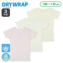 DRYWRAP）3枚組メッシュ半袖シャツ肌着（花・無地）【100cm・110cm・120cm・130cm】[女 半袖 インナー 肌着 シャツ キッズ こども ドライ 吸水速乾 春 秋]