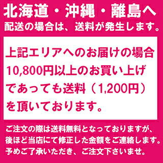 ブラックアンドデッカー(BLACK+DECKER) 電動式　ノコギリ(のこぎり) ジグソー KS900G 送料無料 （電動のこぎり　電気のこぎり　電動ノコギリ） DIY