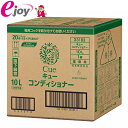 花王 Cue(キュー) コンディショナー 10L バッグインボックスタイプ 10L (リンス コンディショナー まとめ買い 業務用 セット 10リットル)