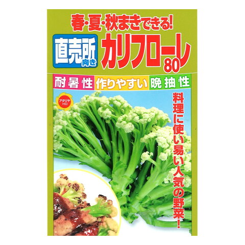 アタリヤ プレミアム 春・夏・秋まきできる 直売所向き カリフローレ80 カリフラワー メール便対応（20個まで） 4580593360942