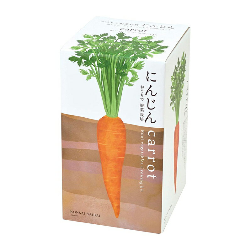 聖新陶芸 おうちで根菜栽培セット 人参 GD891-02 栽培キット 4528757038245のサムネイル