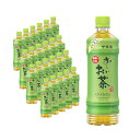 【24本セット】お~いお茶 緑茶 PET 600ml ペットボトル飲料 伊藤園 お取り寄せ商品 4901085003800S