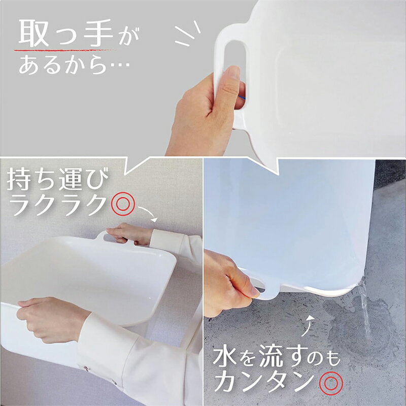 ������ ���� �� �� ��42�߲�21�߱���15.5cm Arao! ���餤 �� ����ॿ���� ������ 4901065840234