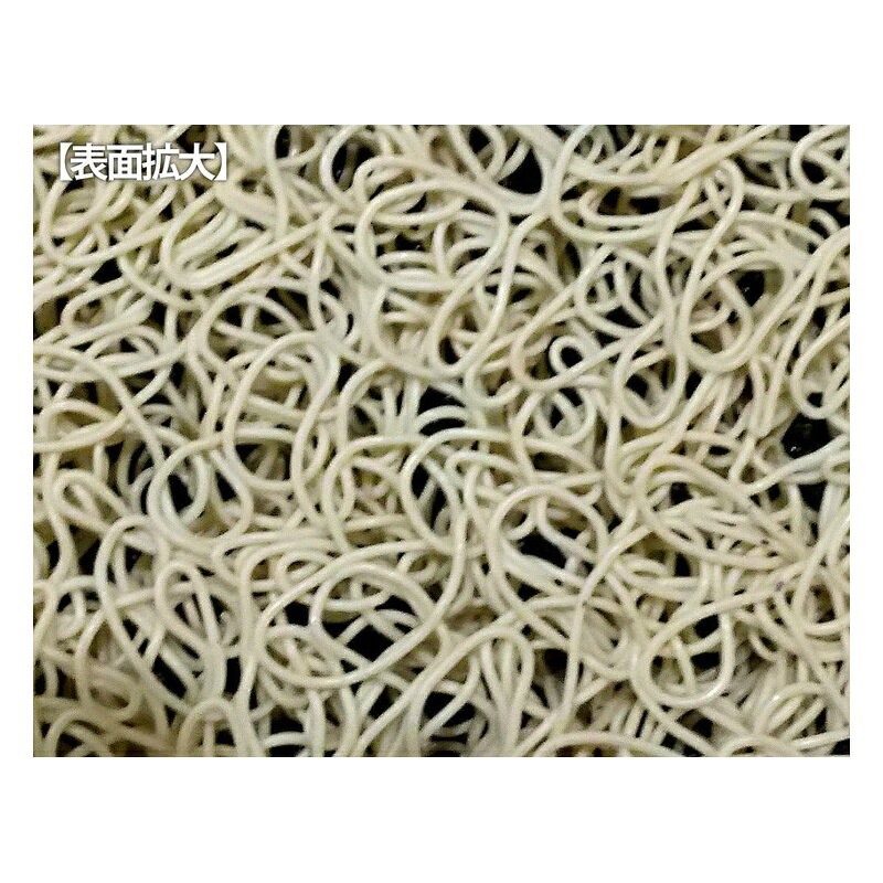 ベストコ 玄関マット ウェルカムブリックス 60×90cm ND-9943 4975970234112 [3]