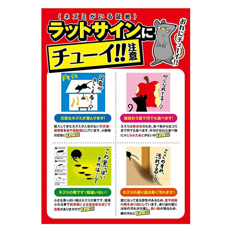 ���������� �ͥ����Ѵ���� �ͥ��߰�ȯ��� 10g�ʤ���쥿���ס� 4901080254016