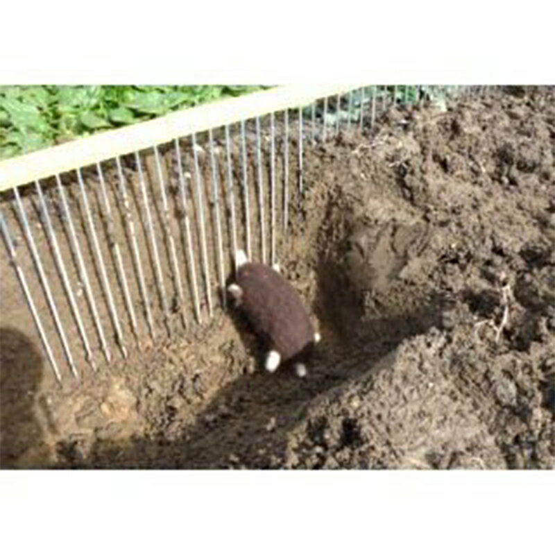 �⥰��褱���⥰�� 4580298120209