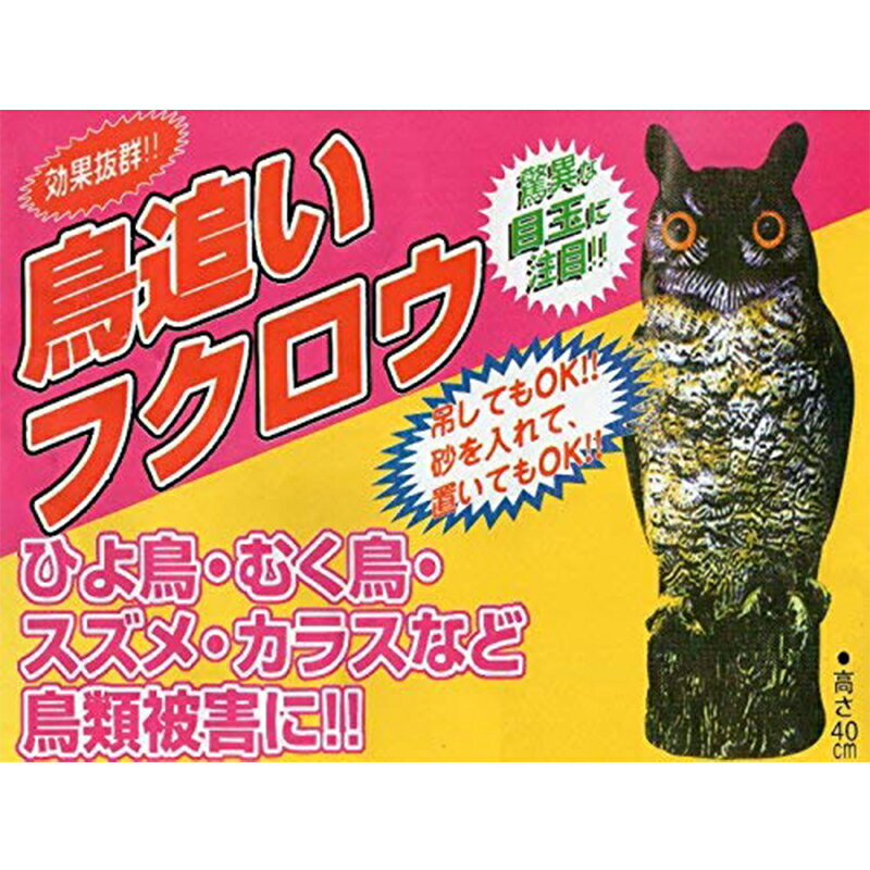 ʡ������ ��Ļ��դ����� 4965815739940