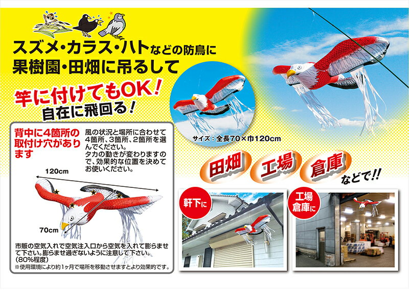 鳥追い暴れん坊タカ K-901 メール便対応（1個まで） 4989586231304