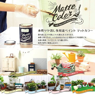 アサヒペン マットカラー 180ml サンライトイエロー 水性 ツヤ消し 多用途 ペイント Matte color 4970925469632