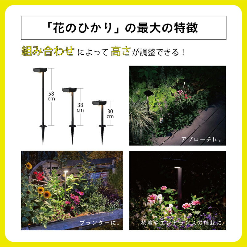 �������硼 �Ҥ���Υ١������ SUNCHARGE �֤ΤҤ��� 2������ LGS-LH02P 4975149756940�� ���뤤 �����ǥ�饤�� ���� �Ȥ餹 �� ���� �饤�ȥ��å� ������� �������� ���ܾ��� �� �Ҹ�No0001