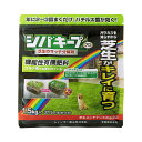 レインボー薬品 シバキープ プロ 芝生のサッチ分解剤 1.5kg 機能性有機肥料 4903471100575