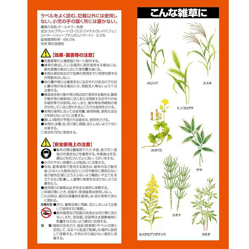 �եޥ��顼 ����� ������ ���� �����륭�顼 γ�� 3kg 1�� ���ޤǸϤ餹 4902424450101