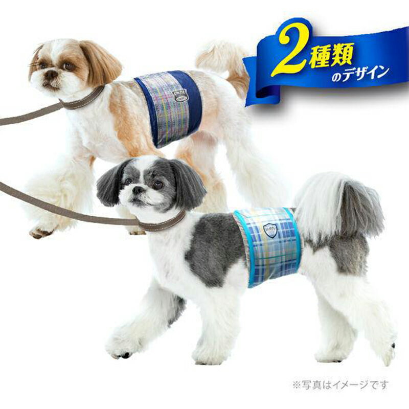 サンプル画像2