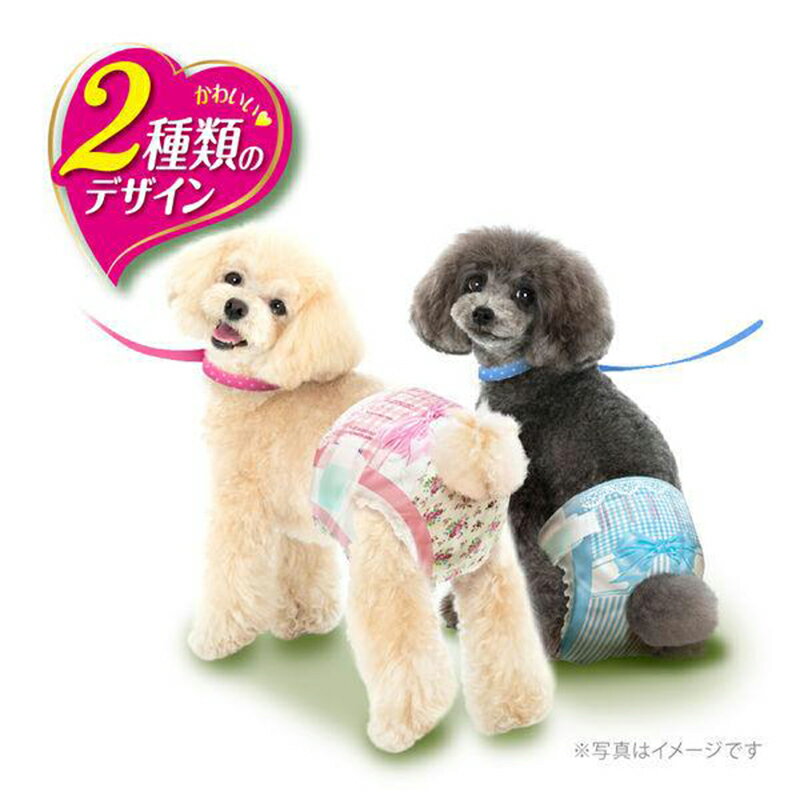 ユニ・チャーム マナーウェア 女の子用 SSサ...の紹介画像2