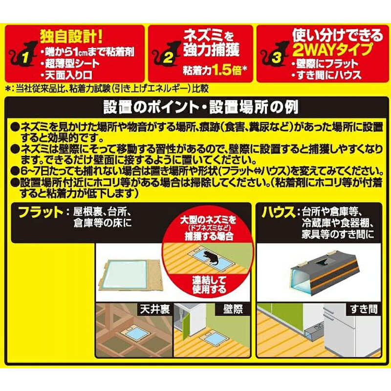 �եޥ��顼 �ɥ� �ǥ��ѥ �ͥ������ ����Ǵ�奷���� 2������ 4902424448467