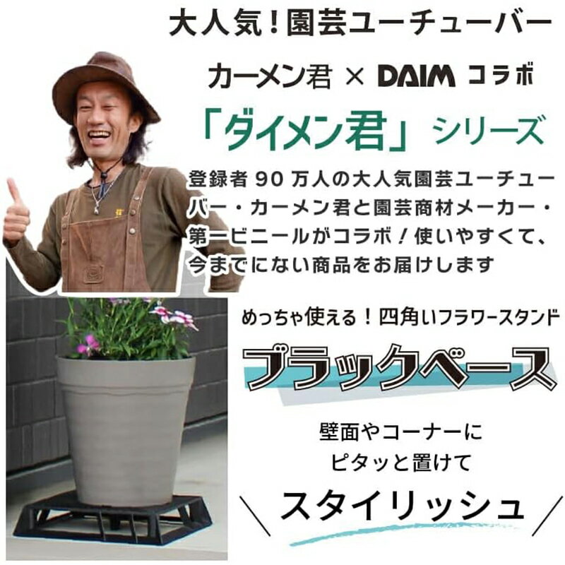 DAIM �֥�å��١��� 20cm 10�ĥ��å� ������󷯥���� �ե�������� �֥�å� ȭ������� ȭ�� 4968438026022S �Ҹ�No0001