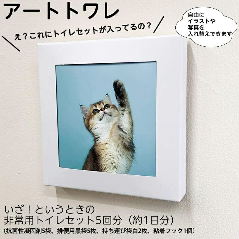 まいにち マイレット アートトワレ 多肉植物 ...の紹介画像2