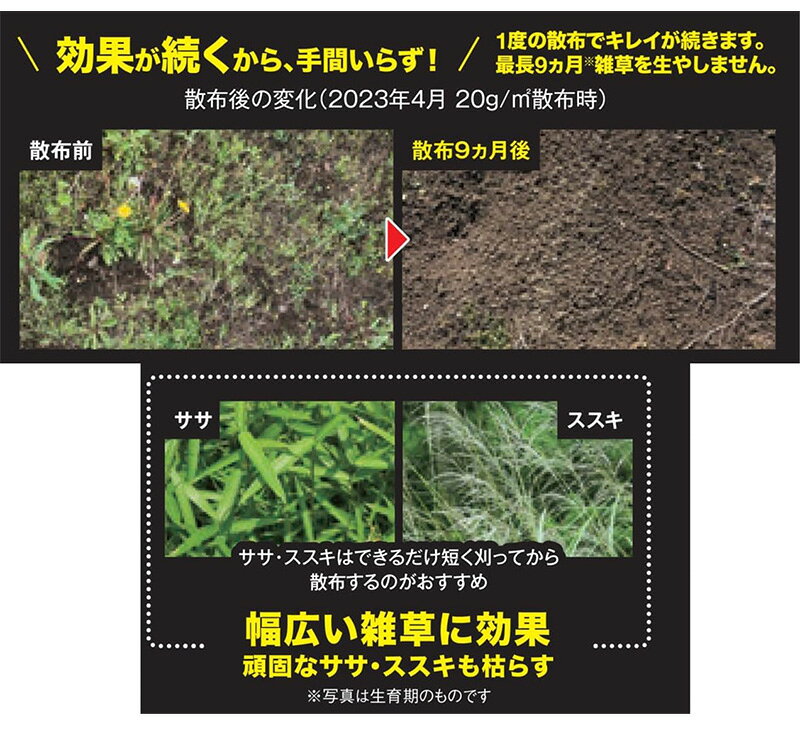 レインボー薬品 ネコソギトップF粒剤 3kg 除草剤 4903471102678