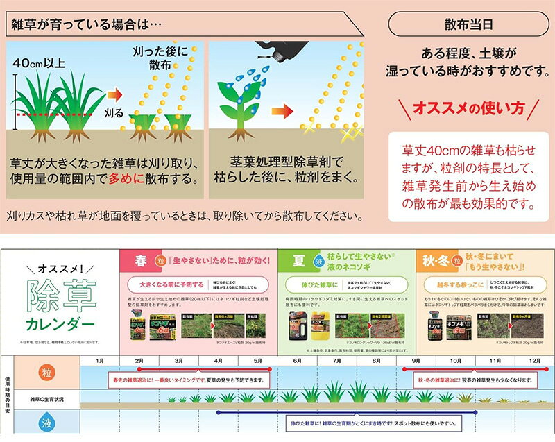 レインボー薬品 ネコソギトップF粒剤 3kg 除草剤 4903471102678