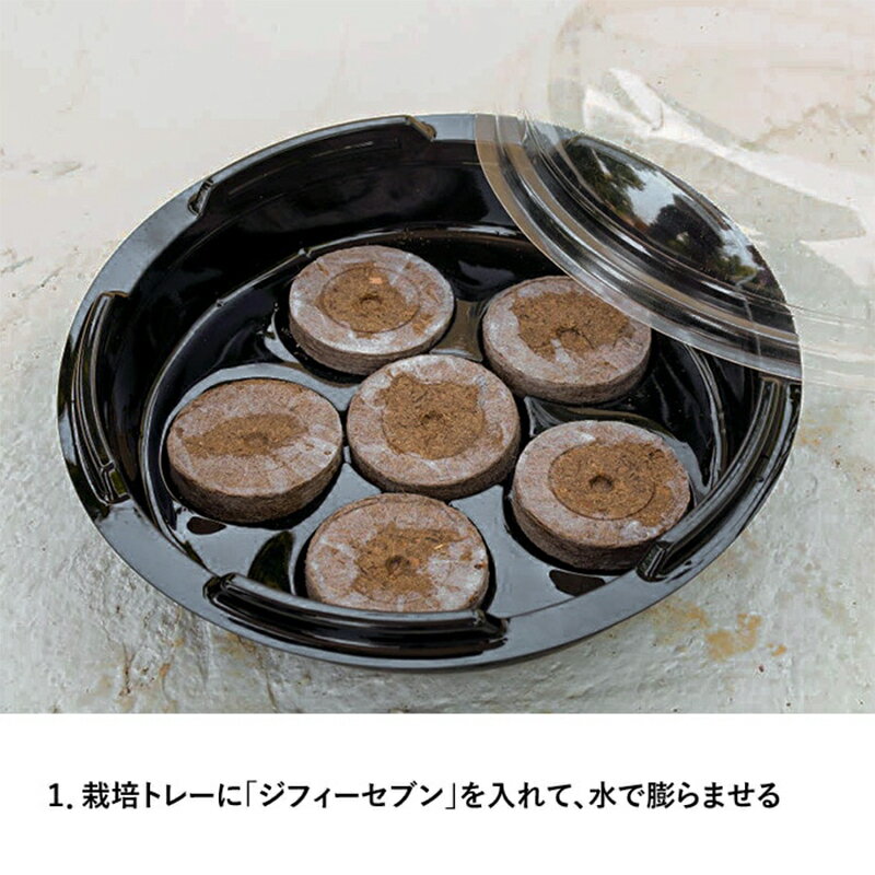 サカタのタネ はじめてさんの かんたんタネまきキット 4974449006311 3