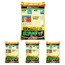 【4個セット】 レインボー薬品 ネコソギブロックV 粒剤 5kg 袋 約6ヵ月間持続 除草剤 4903471102647【GS】