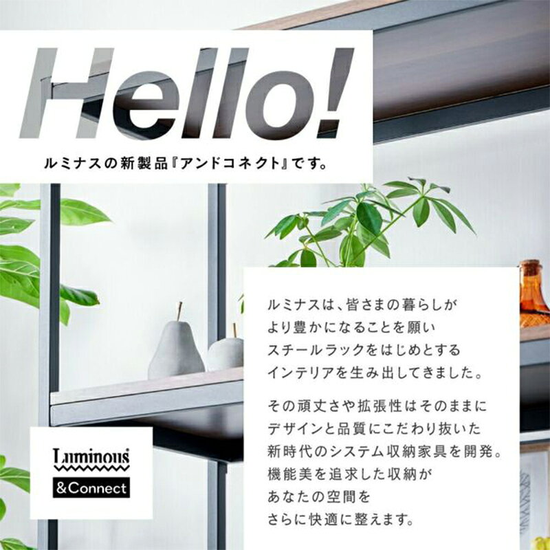 ルミナス ウッドシェルフ用1段チェスト 幅74.5cm 奥行42cm ナチュラル CN-F1C80NA 4550668043452 [2]