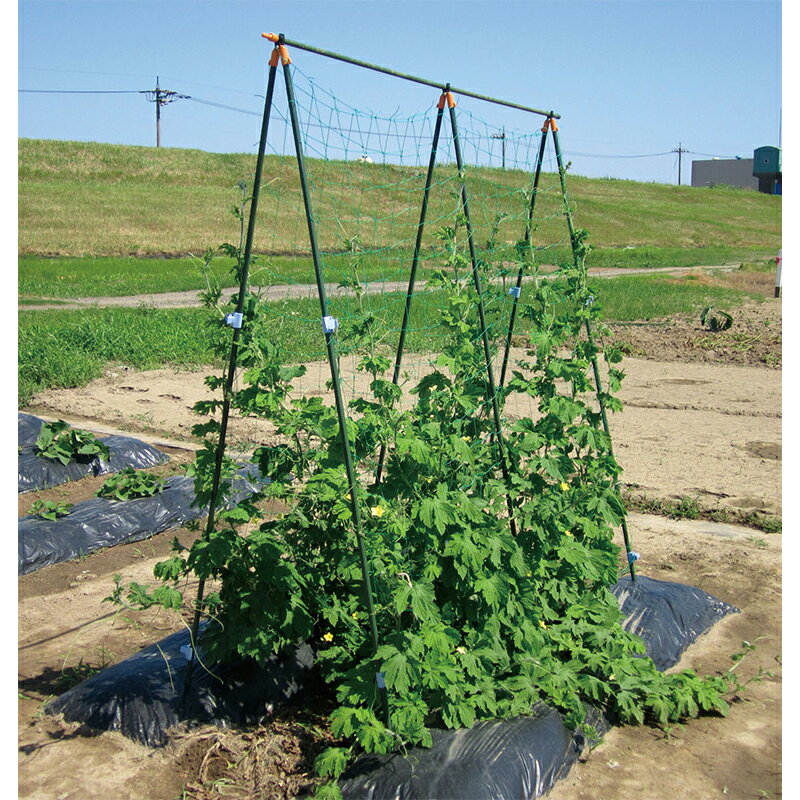 DAIM 柱支柱セット 2.1m×1.8m TS-2.1 4968438010793