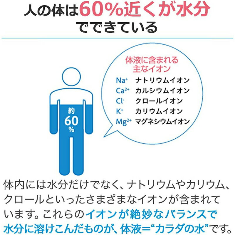 【5個セット】大塚製薬 ポカリスエットパウダー...の紹介画像3