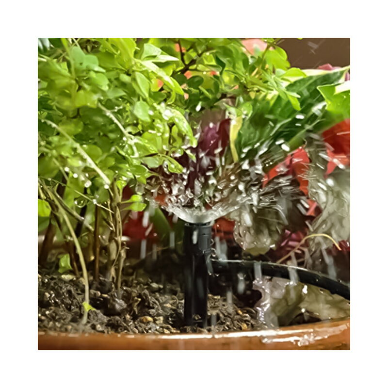 ������ �ݥåȥ��ץ�󥯥顼ʮ�� 4���� ��ñ���ꥷ���ƥ� GKS104 4975373154284