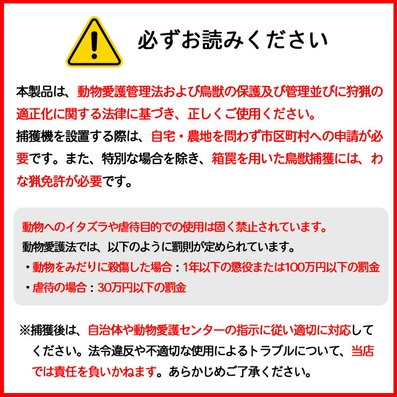 �ޥĥ�� ���˥ޥ륭��å��㡼 L������ ��ʹ� ���ﳲ�к� ��ñ���� AC-36 4522031185021