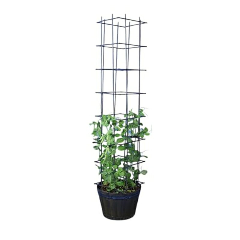 第一ビニール マルチリンクトレリス W30cmxH75cm つる性植物 プランター 496843802...