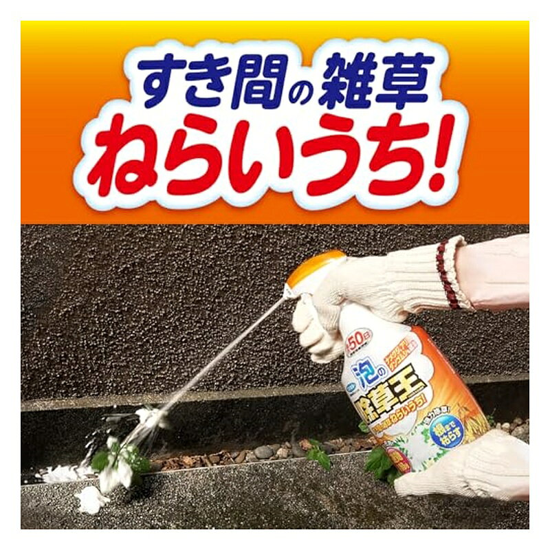 フマキラー 除草剤 泡の除草王 1000ml すき間の雑草ねらいうち 4902424453553