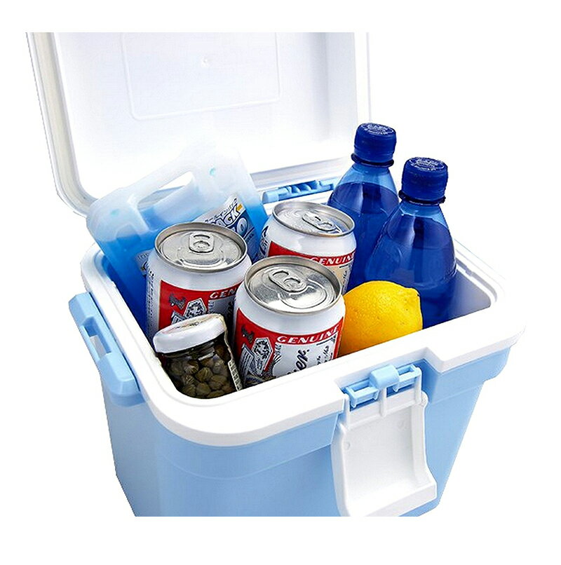 クーラーボックス アイセル#10 アイスブルー 【アステージ】(クーラーボックス アウトドア 釣り スポーツ)DIY通販格安セール情報 楽天 通販